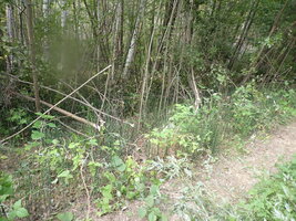 P9050085.JPG
