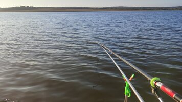 IMG_20260906_072517.jpg