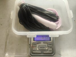 IMG_20260904_075345694.jpg