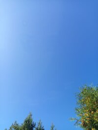 17887734594381233061684247579950.jpg