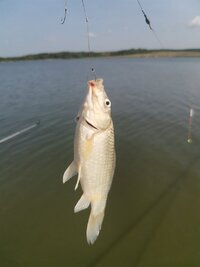 IMG_20260905_151638.jpg