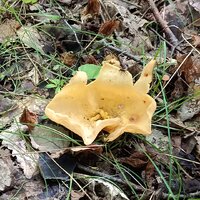 IMG_20260905_131441.jpg