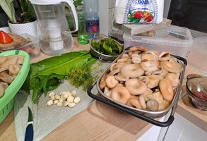 20260907_223530(1).jpg