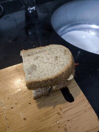 IMG_20260908_174843.jpg