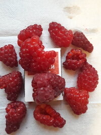 20260909_184919.jpg