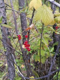 IMG_20260909_125245.jpg