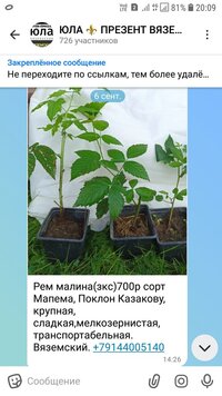 Screenshot_20260909-200936_MAX.jpg