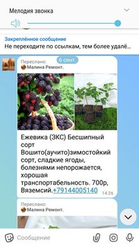 Screenshot_20260909-200951_MAX.jpg