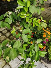 IMG_20260910_111702.jpg