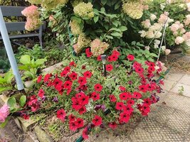 IMG_20260910_111718.jpg