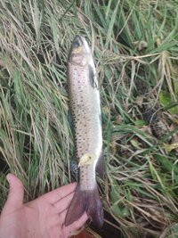 IMG_20260910_114435_881.jpg