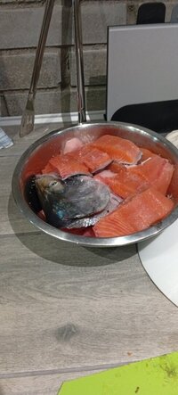 IMG_20260910_205850.jpg