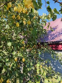 IMG_20260912_093925.jpg