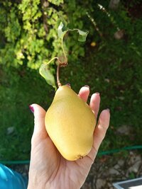 IMG_20260912_094628.jpg