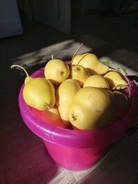 IMG_20260912_095510.jpg