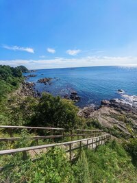 IMG_20260909_152604.jpg