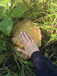 20260912_101246.jpg
