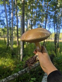 20260912_103142.jpg