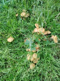 IMG_20260912_102204.jpg