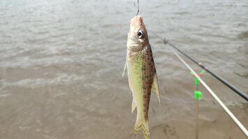 IMG_20260914_102142.jpg