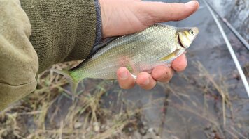 IMG_20260914_122643.jpg