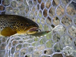 IMG_2645.JPG