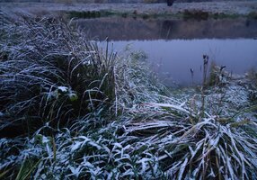 IMG_20260915_063409.jpg