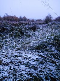 IMG_20260915_053346.jpg