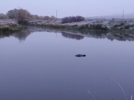 IMG_20260915_055614.jpg