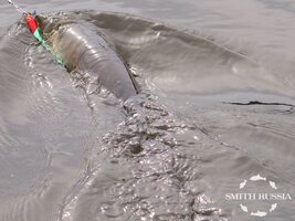 IMG_7583.JPG