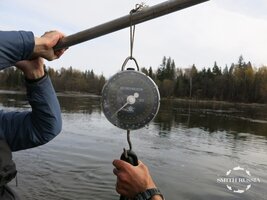 IMG_8718.JPG