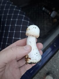 20260929_180855.jpg