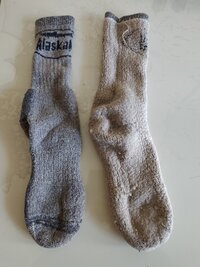 IMG_20261005_083735.jpg
