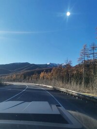 IMG_20261017_104846_418.jpg