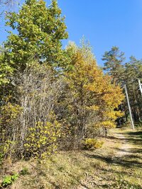 yGopTltP1rMezu8CfmmORRt-cVrw7FPf1L-a-SCSvClggzynVLNkw7pqHuI845fOMbNKyu0Ouvnw2p8IrGG_j3iEq4ZLXg.jpg