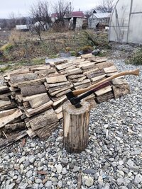 IMG_20261030_163541.jpg