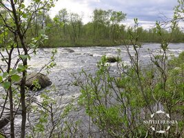 IMG_7984.JPG
