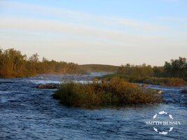 IMG_8024.JPG