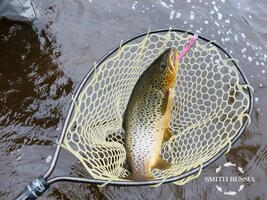 IMG_8188.JPG