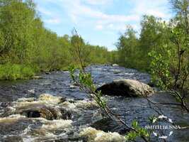 IMG_8273.JPG