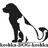 Koshka_DOG_Koshka