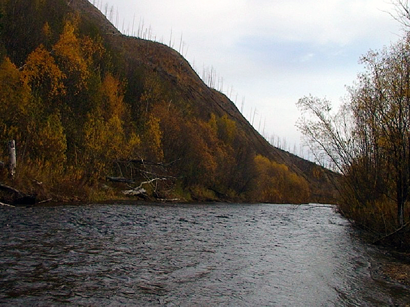Амурские берега