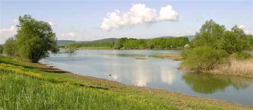 stories_rechnoycarp_foto1.jpg