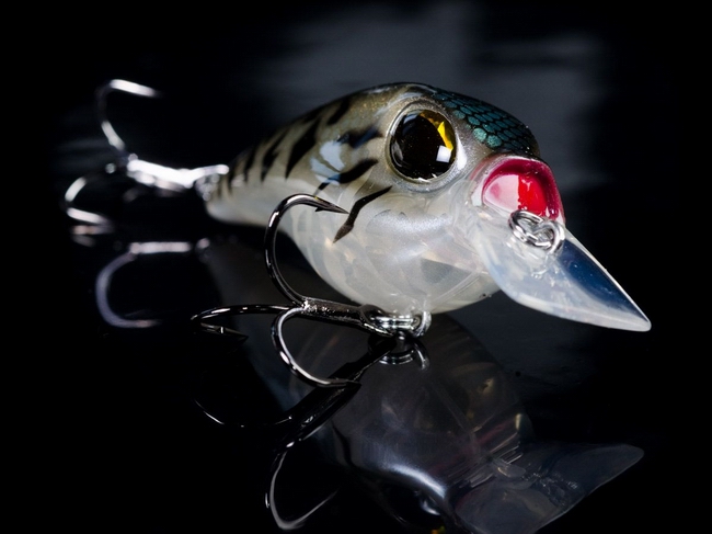 sb-crank-producto-01.jpg