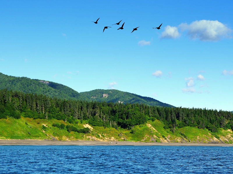 Амурский берег