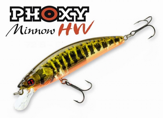 sakura-phoxy-minnow.jpg
