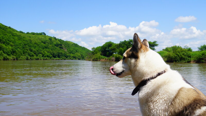 0_1cf3f9_36d60684_XL.jpg
