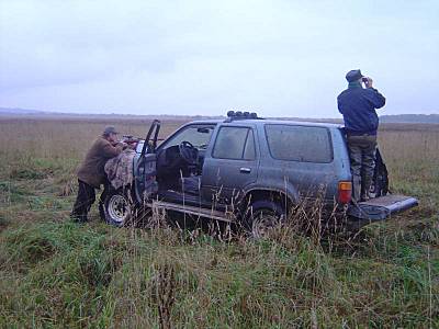 464544.jpg