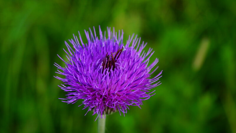 0_1d28c8_166fe384_XL.jpg