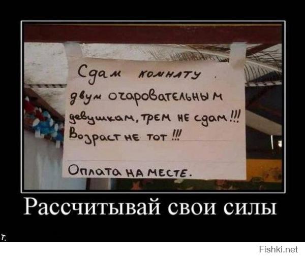 575f084606a78cf30790e991eb8fe15d.jpg